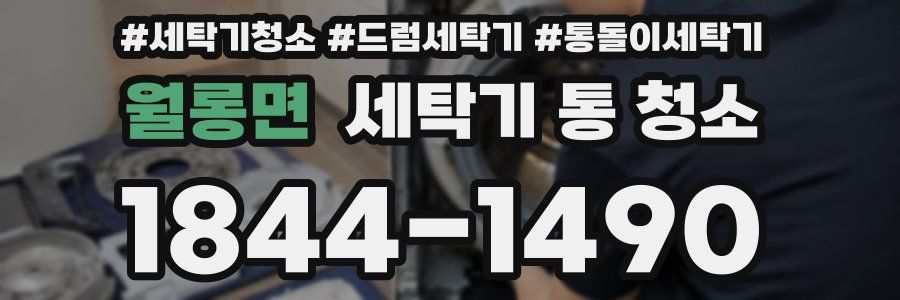 월롱면 세탁기 통 청소