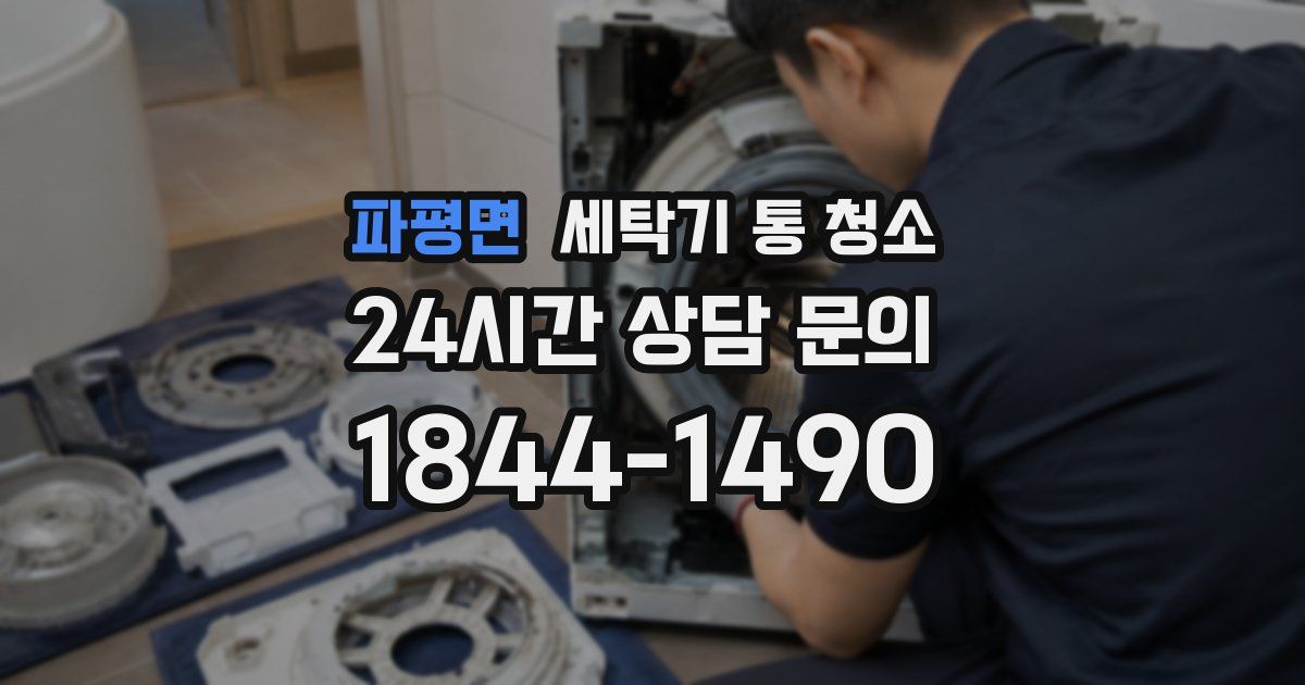 파평면 세탁기 통 청소