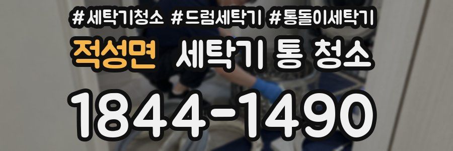 적성면 세탁기 통 청소