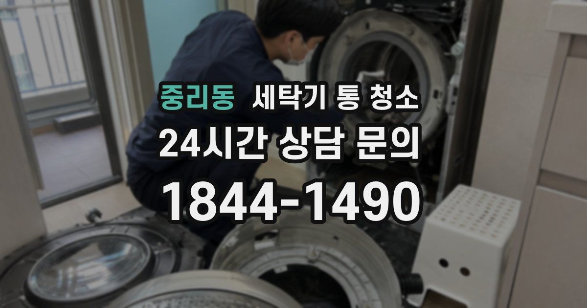 중리동 세탁기 통 청소