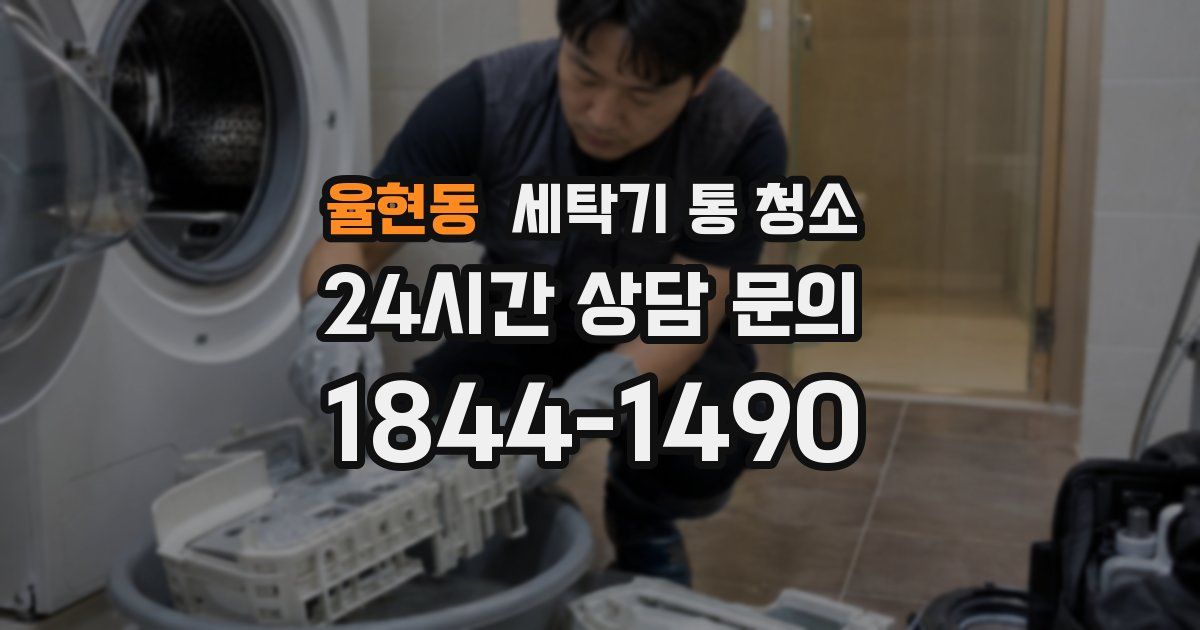 율현동 세탁기 통 청소
