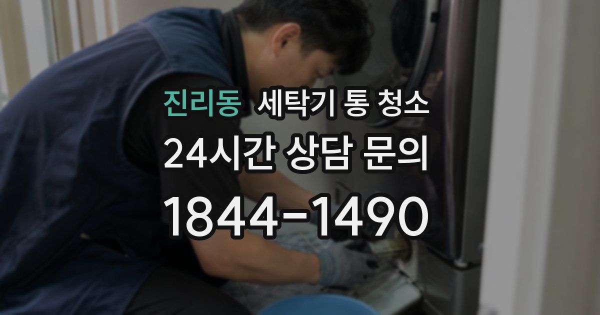 진리동 세탁기 통 청소