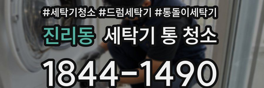 진리동 세탁기 통 청소