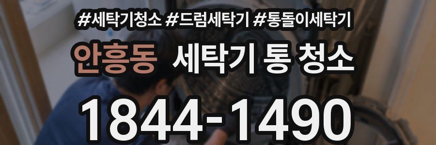 안흥동 세탁기 통 청소
