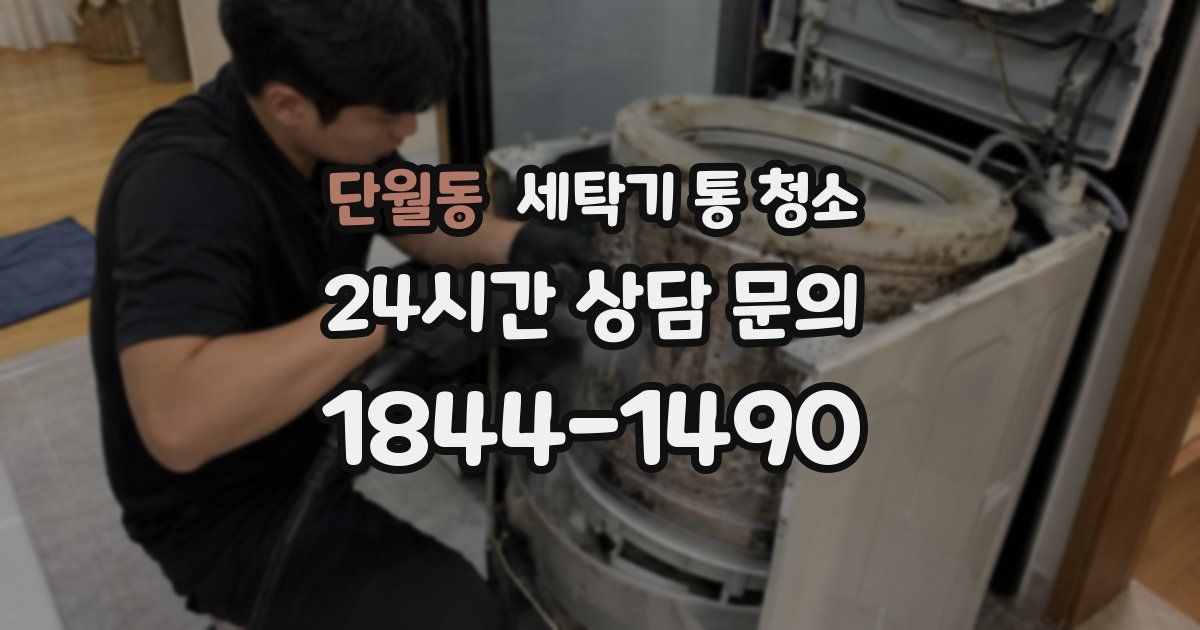 단월동 세탁기 통 청소