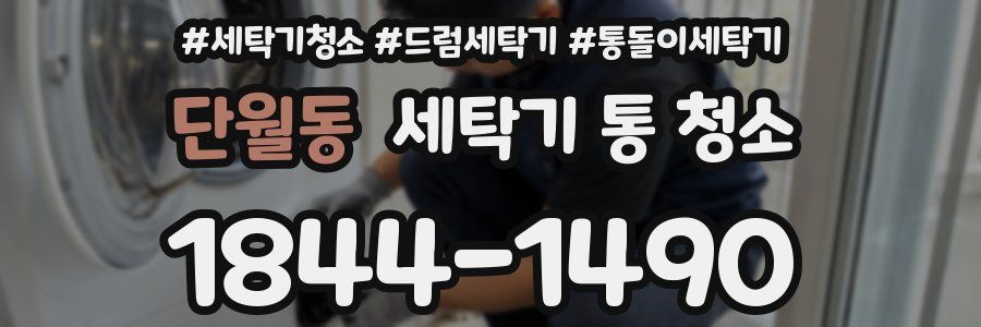 단월동 세탁기 통 청소