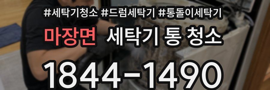 마장면 세탁기 통 청소
