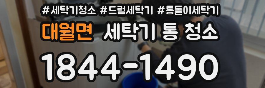 대월면 세탁기 통 청소