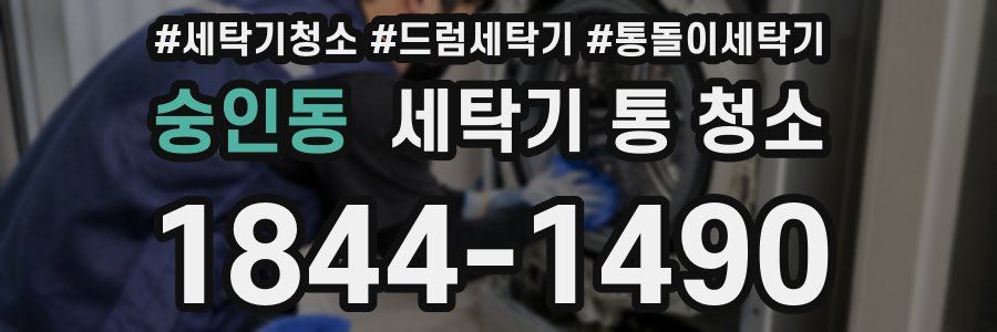 숭인동 세탁기 통 청소