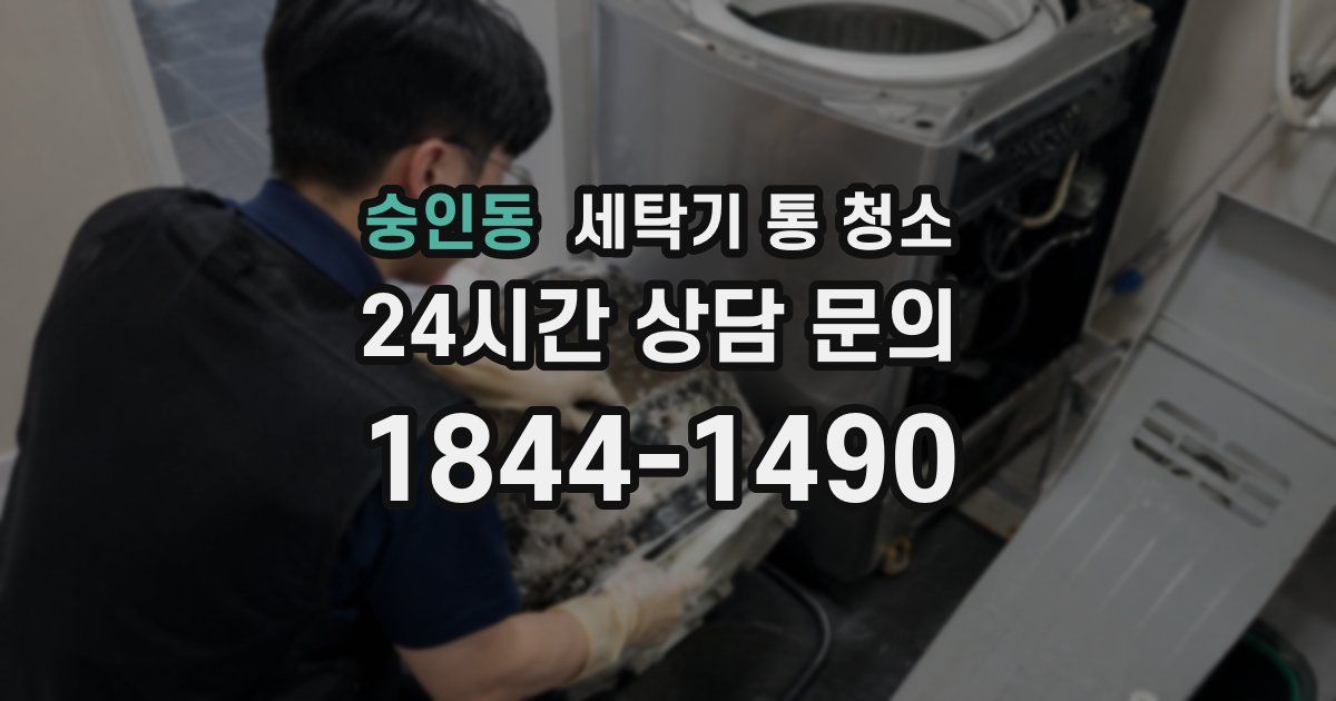 숭인동 세탁기 통 청소