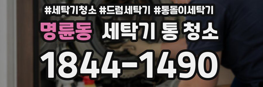 명륜동 세탁기 통 청소