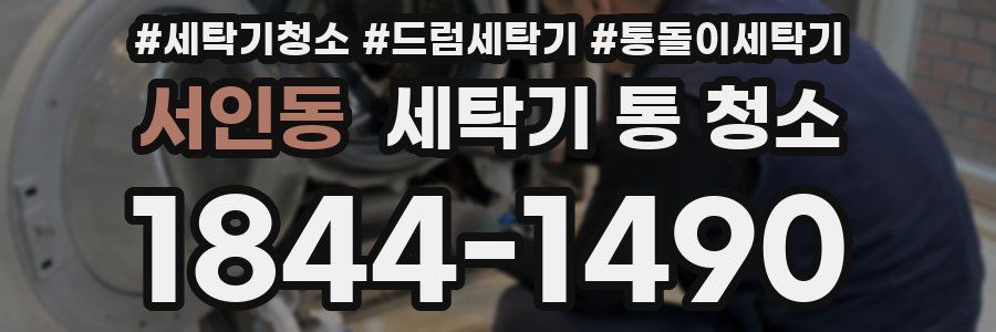 서인동 세탁기 통 청소