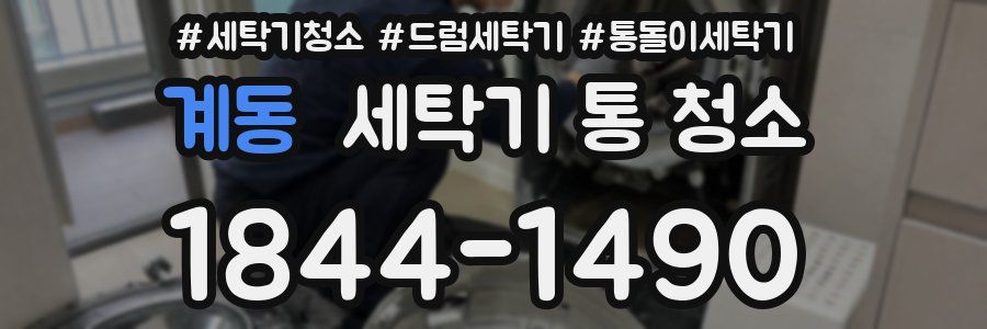 계동 세탁기 통 청소
