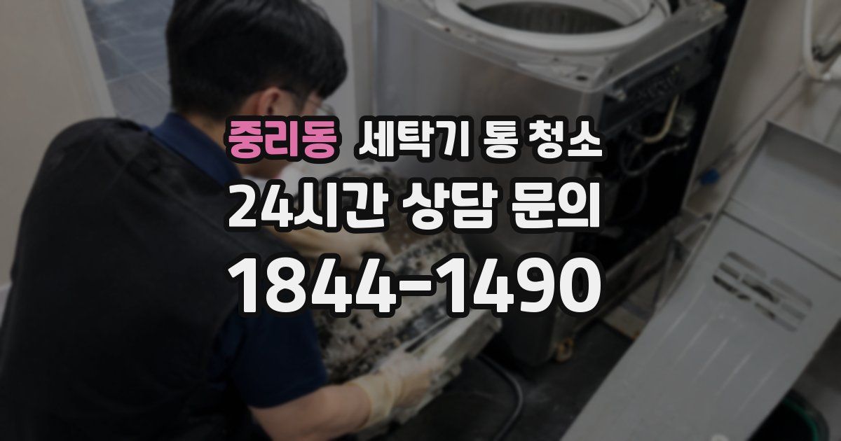 중리동 세탁기 통 청소