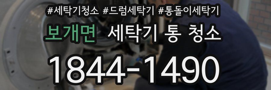 보개면 세탁기 통 청소
