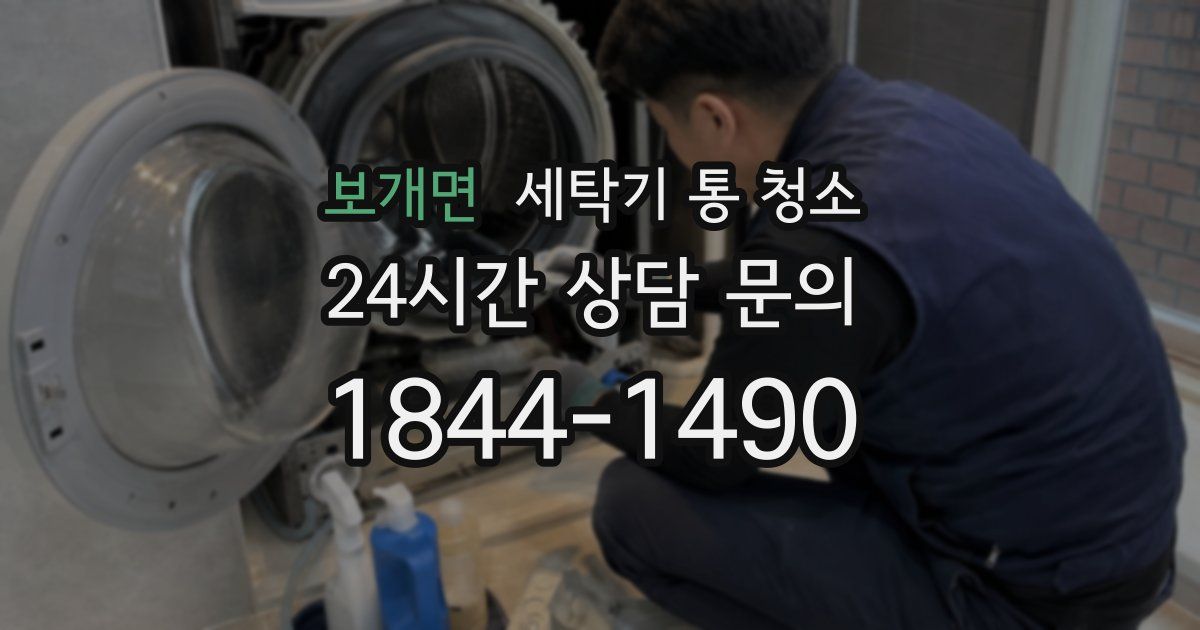 보개면 세탁기 통 청소