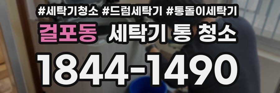 걸포동 세탁기 통 청소