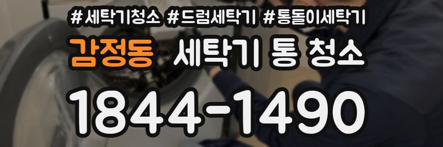 감정동 세탁기 통 청소