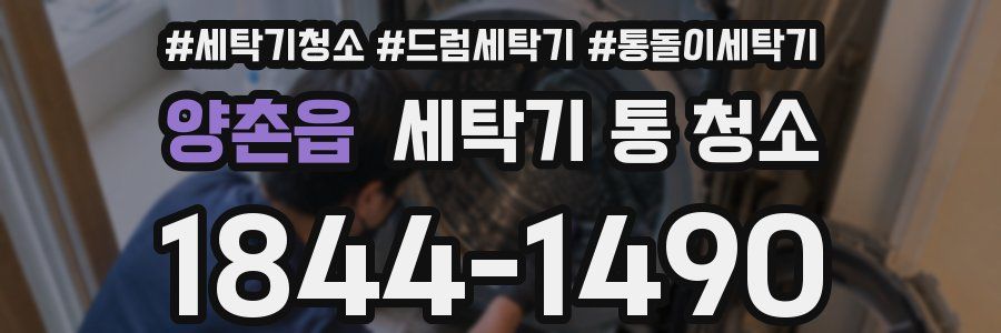 양촌읍 세탁기 통 청소