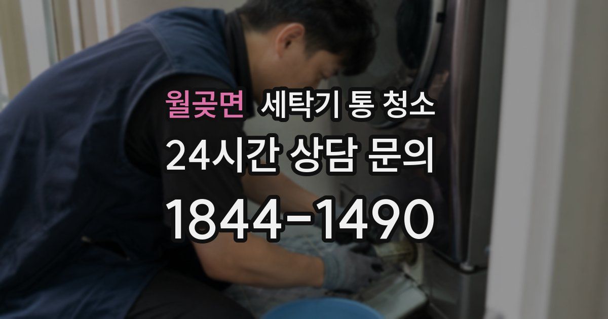 월곶면 세탁기 통 청소