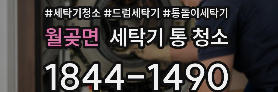 월곶면 세탁기 통 청소