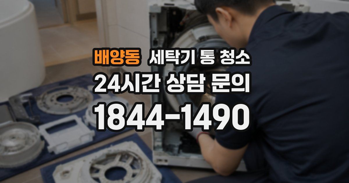 배양동 세탁기 통 청소