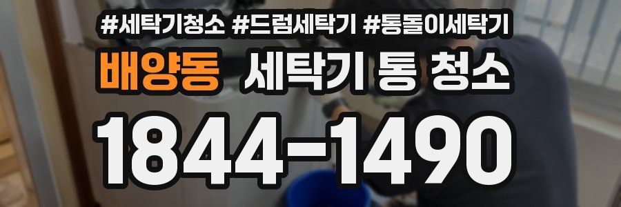 배양동 세탁기 통 청소