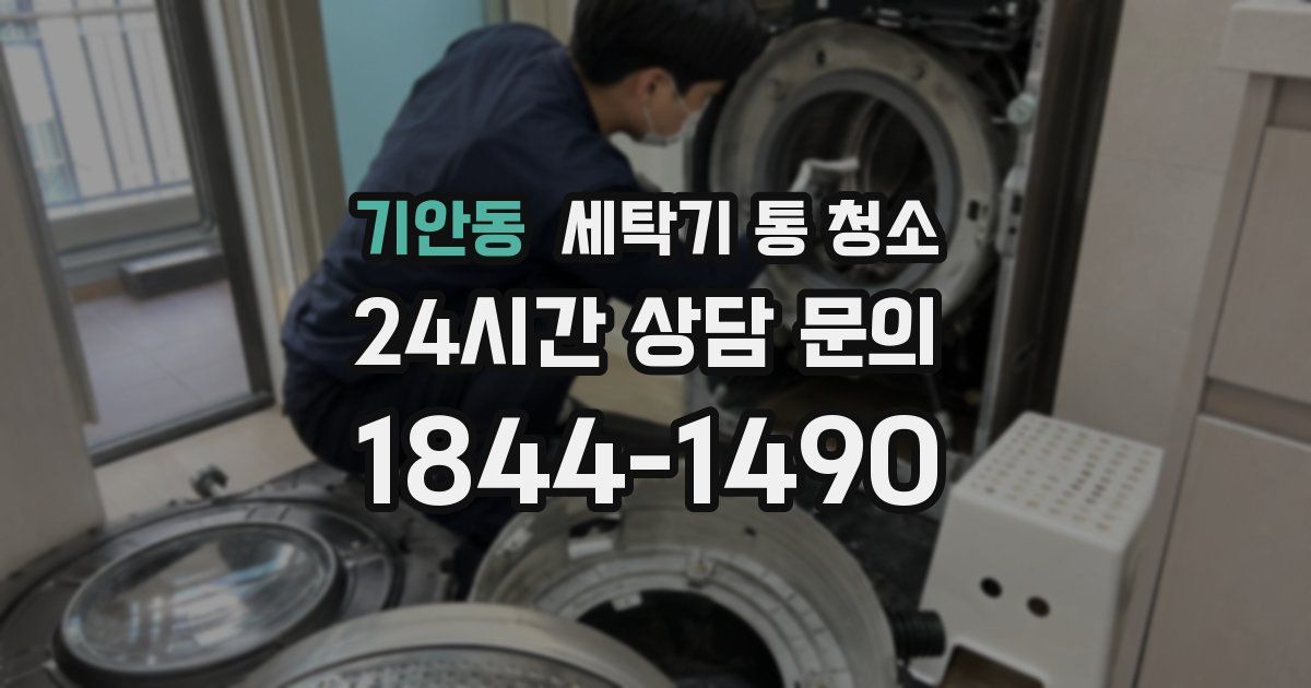 기안동 세탁기 통 청소