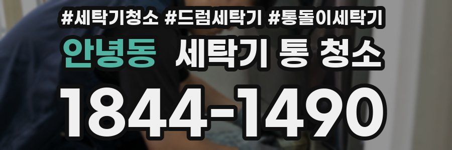 안녕동 세탁기 통 청소