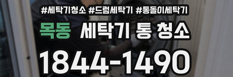 목동 세탁기 통 청소