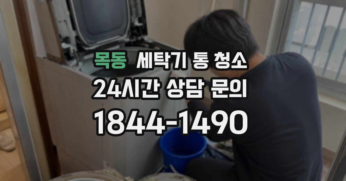 목동 세탁기 통 청소