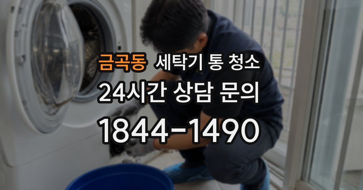 금곡동 세탁기 통 청소