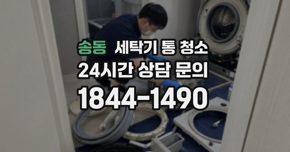 송동 세탁기 통 청소