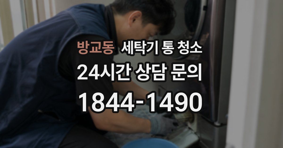 방교동 세탁기 통 청소