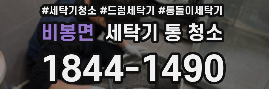 비봉면 세탁기 통 청소