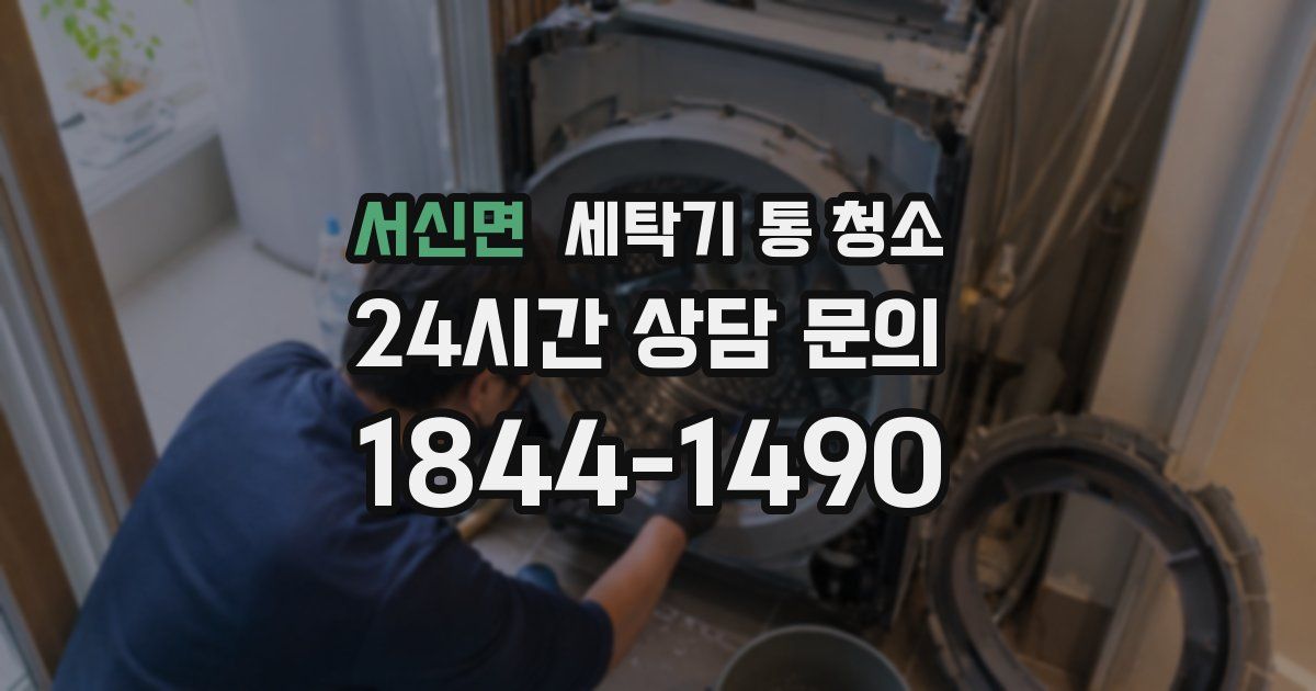 서신면 세탁기 통 청소