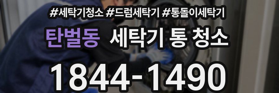 탄벌동 세탁기 통 청소