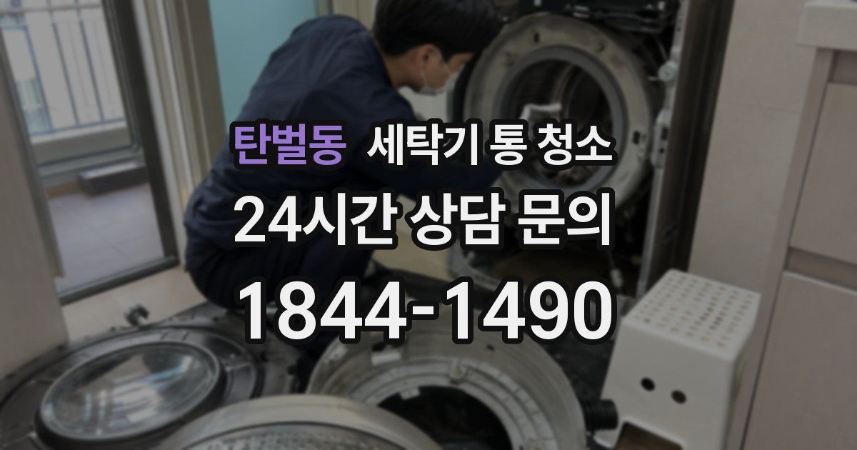 탄벌동 세탁기 통 청소