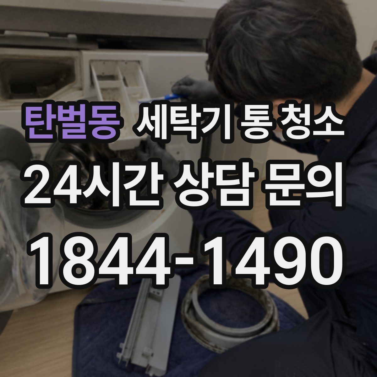 탄벌동 세탁기 통 청소