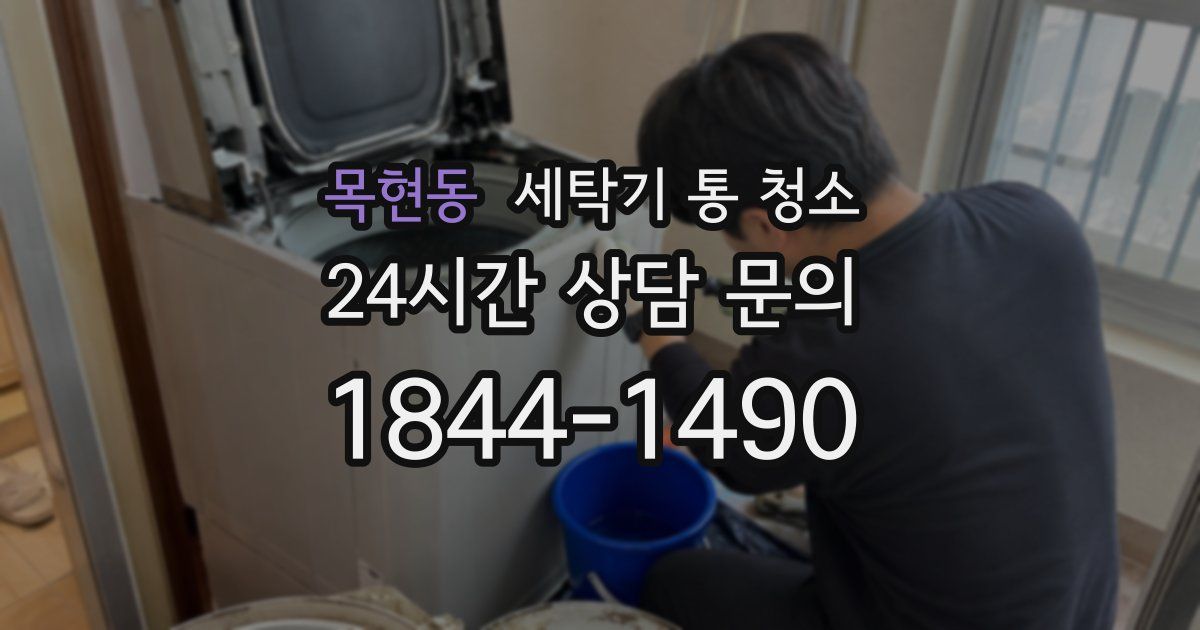 목현동 세탁기 통 청소