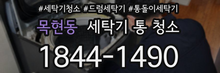 목현동 세탁기 통 청소