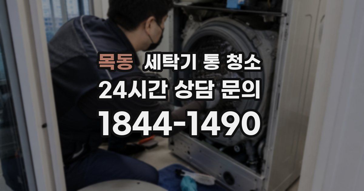 목동 세탁기 통 청소