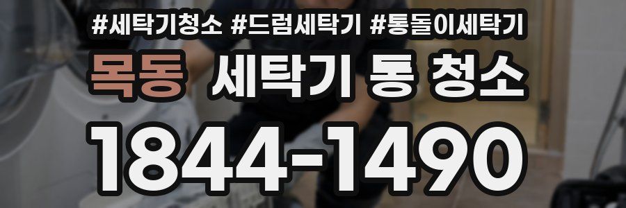 목동 세탁기 통 청소