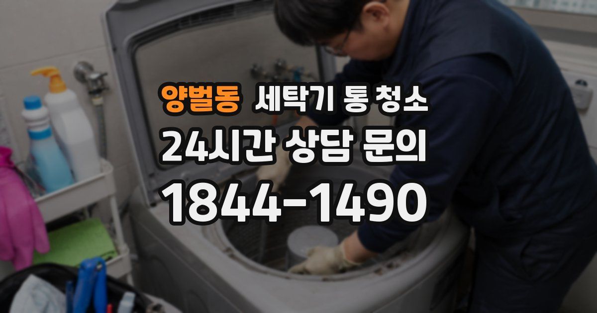 양벌동 세탁기 통 청소