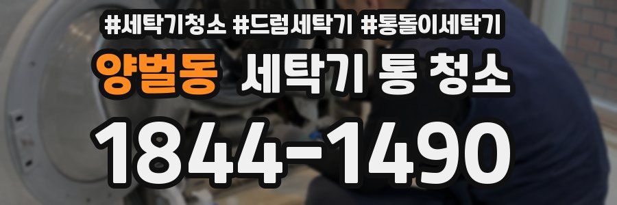 양벌동 세탁기 통 청소