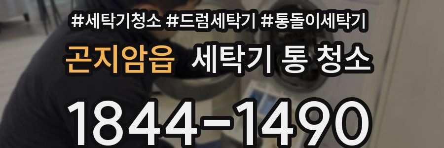 곤지암읍 세탁기 통 청소