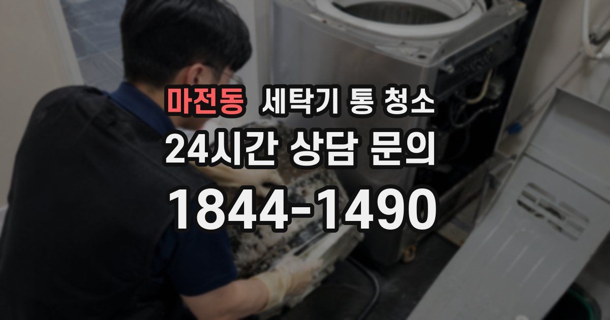 마전동 세탁기 통 청소