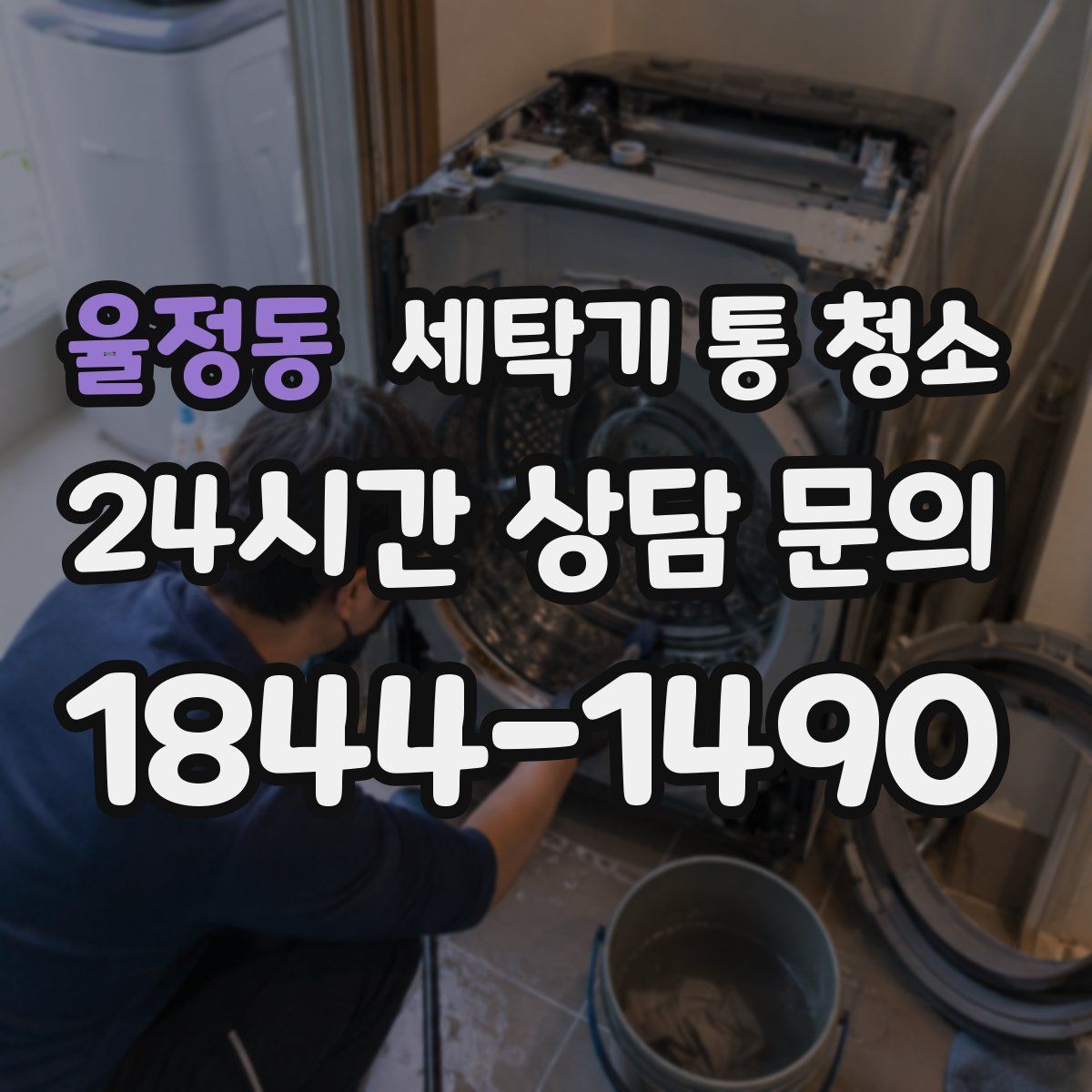 율정동 세탁기 통 청소