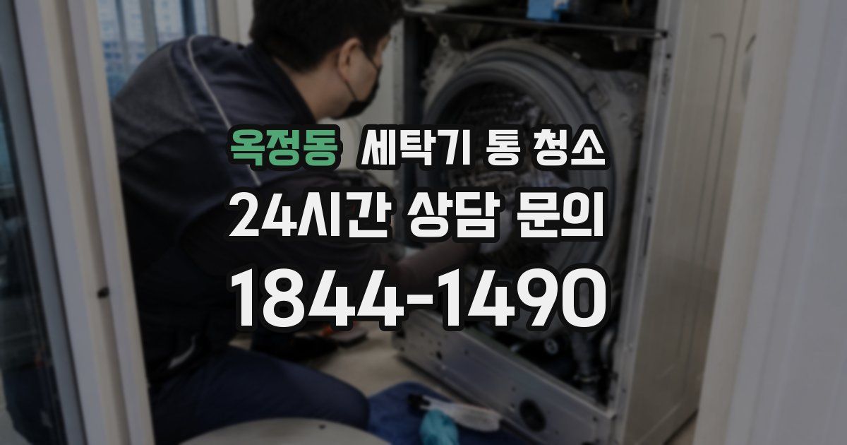 옥정동 세탁기 통 청소