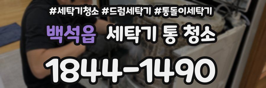백석읍 세탁기 통 청소